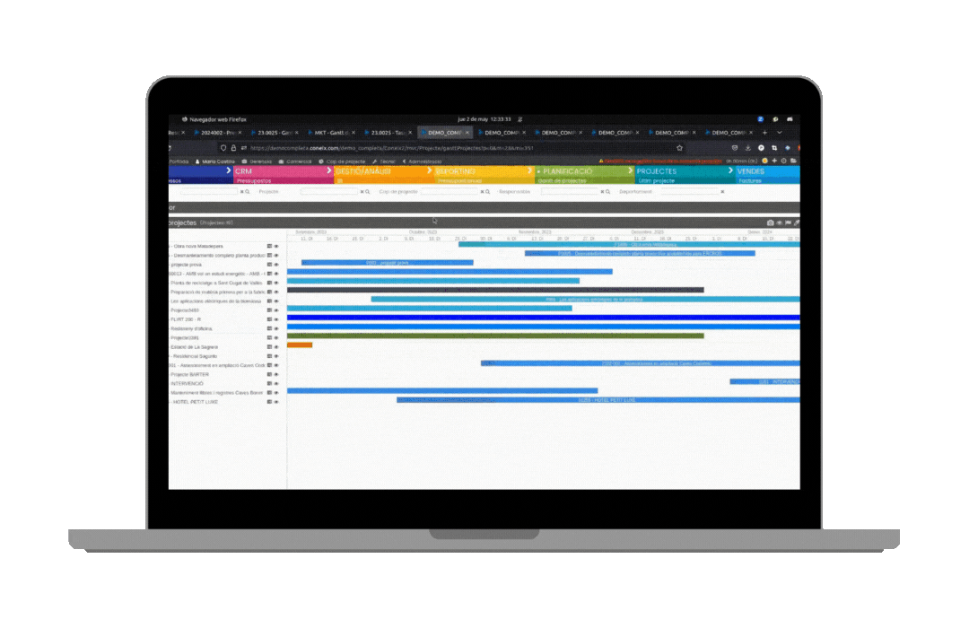 Diagrama de Gantt CONEIX