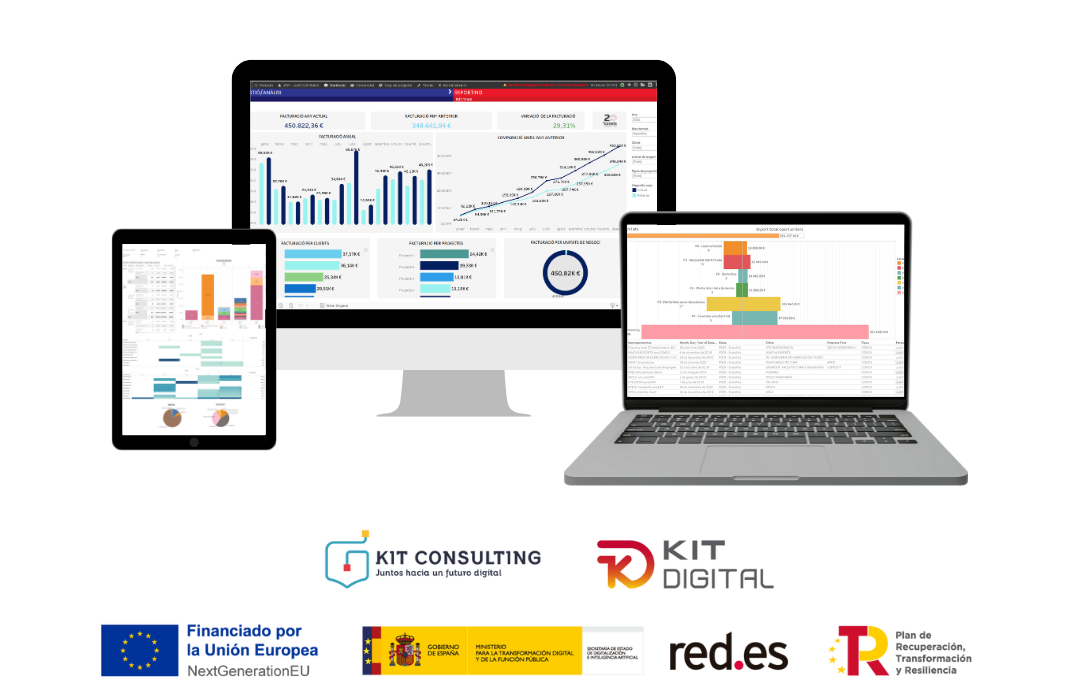 CONEIX ERP - Kit Digital i Kit Consulting